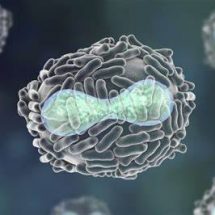 Secretaría de Salud Colima reporta primer caso de viruela símica en Colima