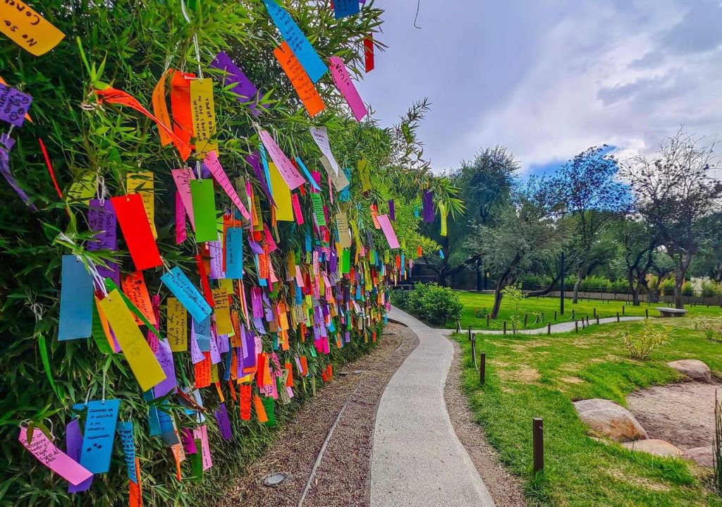 PARQUES ESTATALES CONCENTRAN MÁS EVENTOS PARA LAS Y LOS POTOSINOS