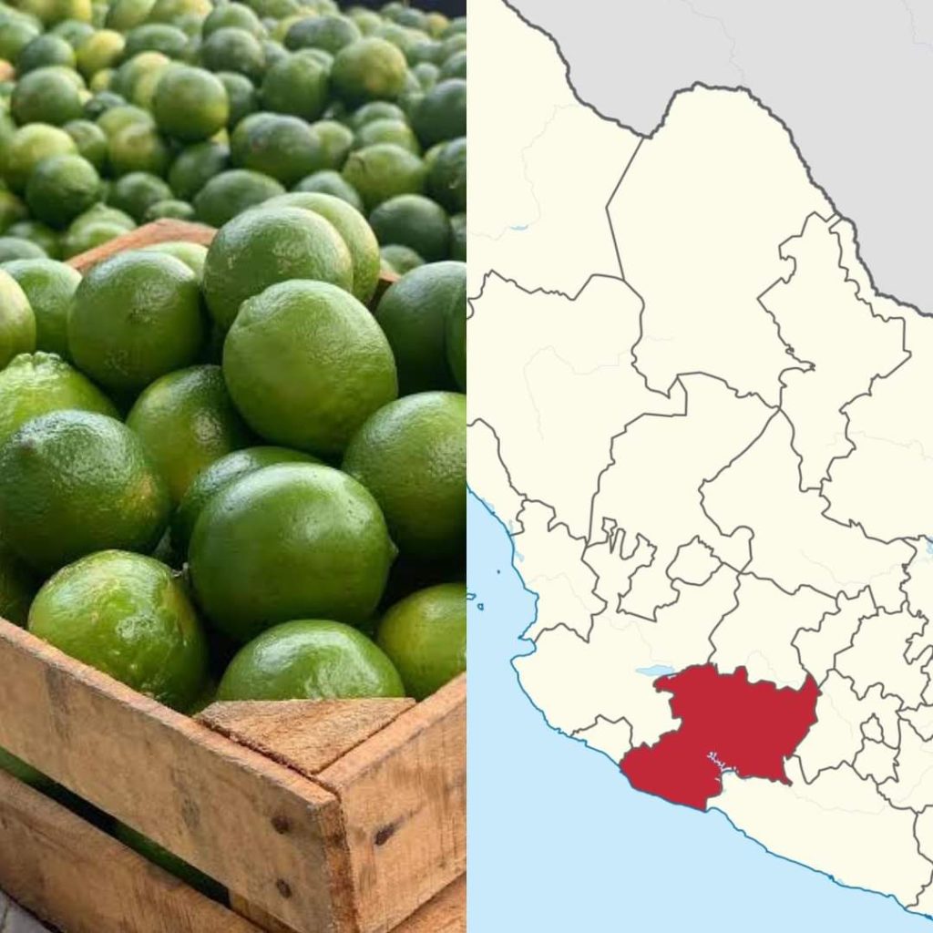 Gobierno de Michoacán desmiente extorsiones y atribuye cierre de limoneros por desplome estacional de precios