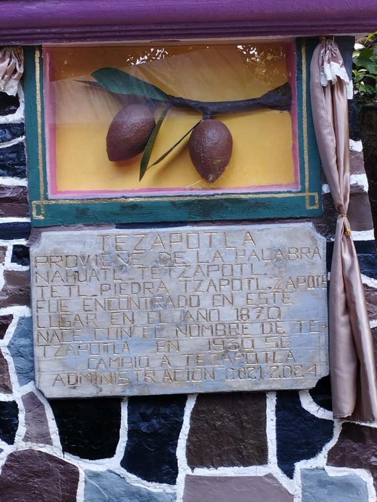 GOBIERNO ESTATAL RECONOCE HISTORIA E IMPORTANCIA DE PUEBLOS ORIGINARIOS