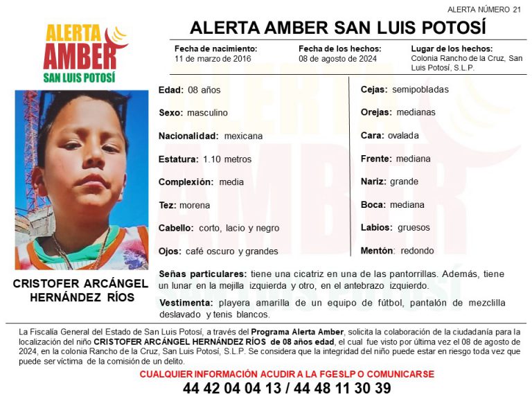 SE INICIA ALERTA AMBER PARA LOCALIZAR A NIÑO DE 8 AÑOS EN LA CAPITAL POTOSINA: FISCALÍA DE DERECHOS HUMANOS