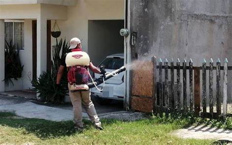 Aumenta la demanda de fumigaciones en escuelas ante el incremento de casos de dengue en Tamaulipas