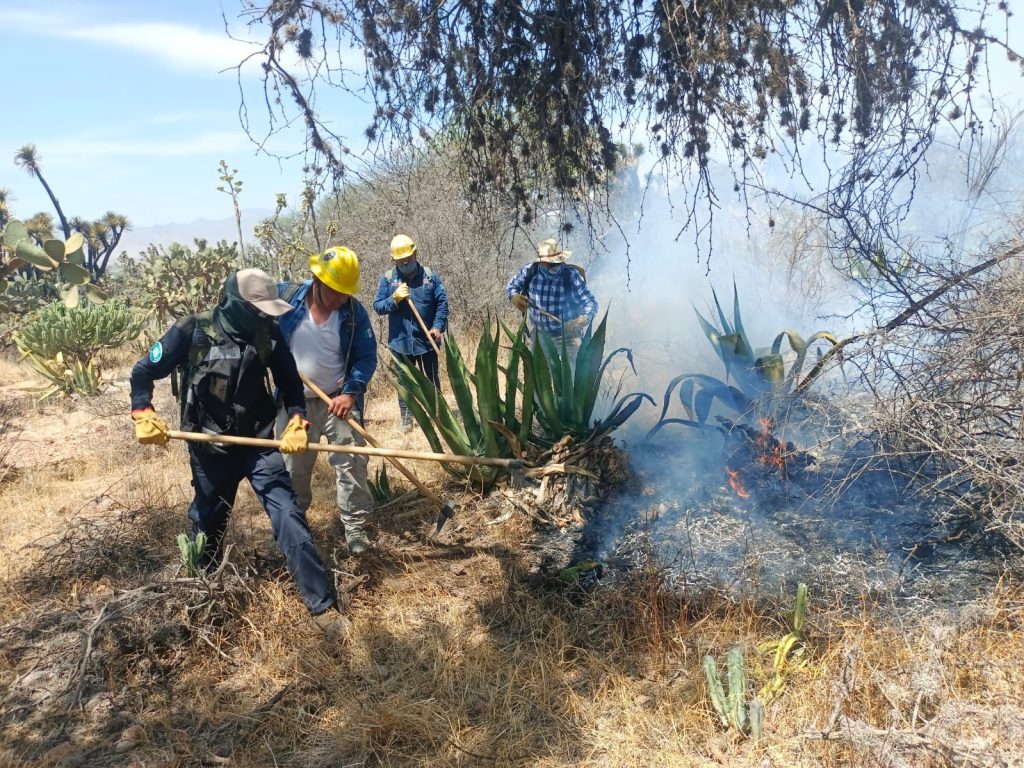 GOBIERNO DEL ESTADO Y LA FEDERACIÓN TRABAJAN EN EL COMBATE DE INCENDIOS FORESTALES