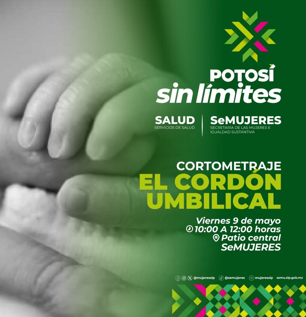 ESTADO PROMUEVE SALUD MENTAL MATERNA