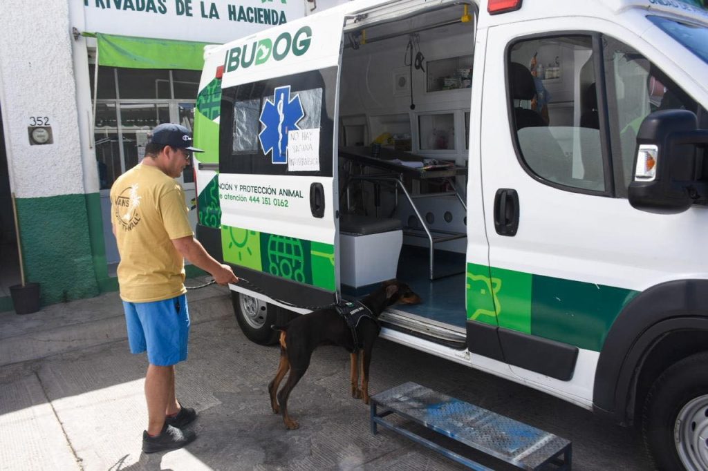 CON ATENCIÓN GRATUITA, AMBUDOG EN SOLEDAD GARANTIZA EL BIENESTAR ANIMAL