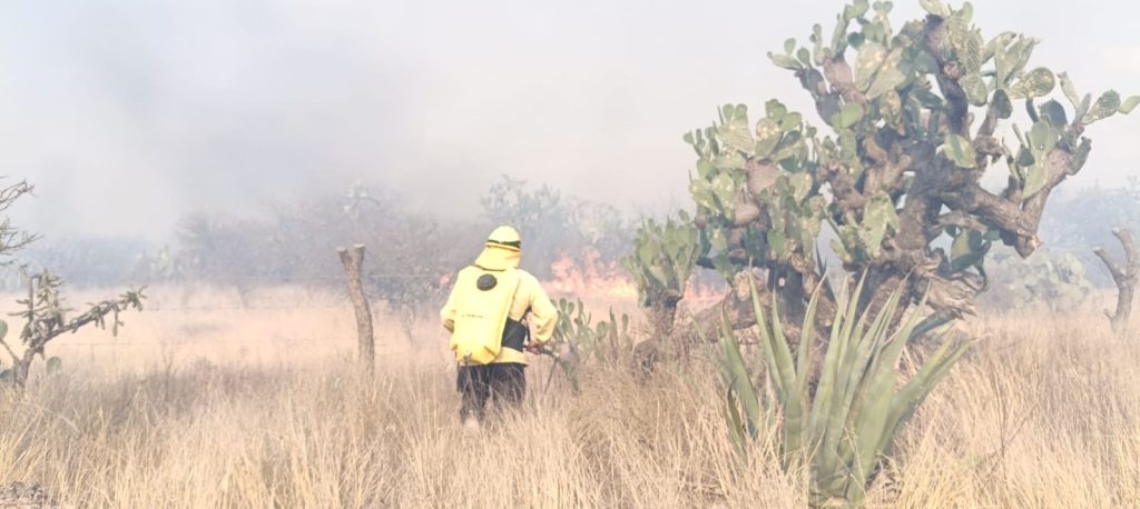 BRIGADISTAS COMBATEN INCENDIO DE PASTIZAL EN MEXQUITIC
