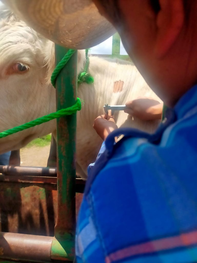 GANADEROS SON CAPACITADOS CONTRA PLAGAS Y ENFERMEDADES