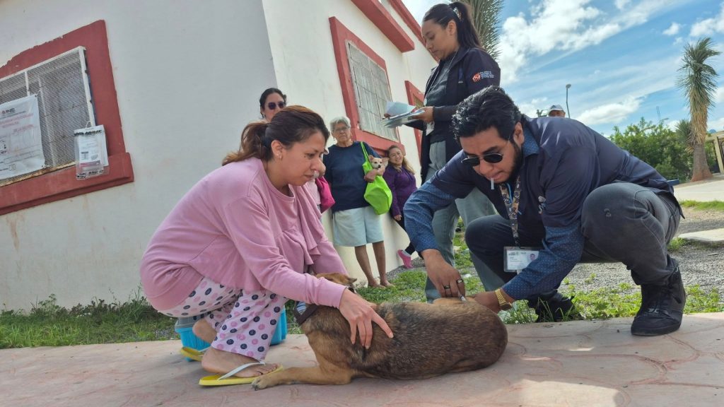 MÁS DE 600 MASCOTAS RECIBIERON VACUNACIÓN ANTIRRÁBICA EN VILLA DE POZOS