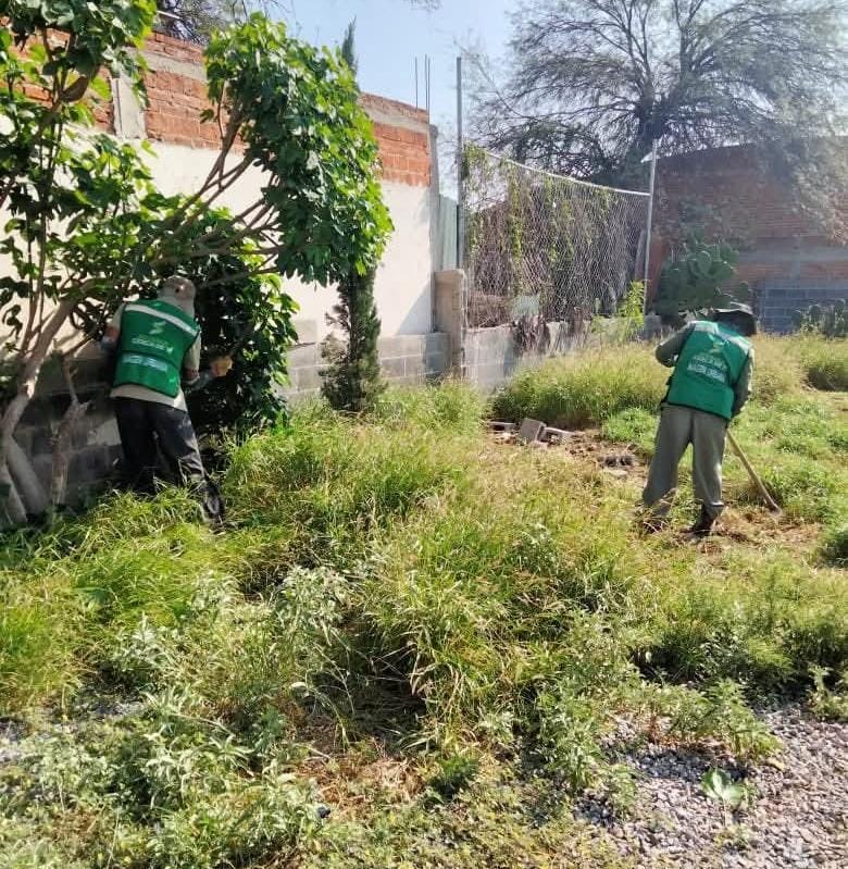 MÁS COLONIAS DE SOLEDAD RECIBEN MANTENIMIENTO INTEGRAL DE SUS ÁREAS VERDES