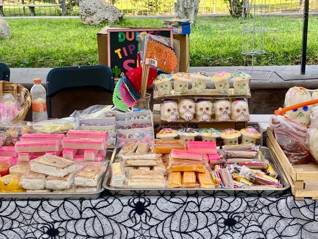 EXPO DÍA DE MUERTOS EN VILLA DE POZOS