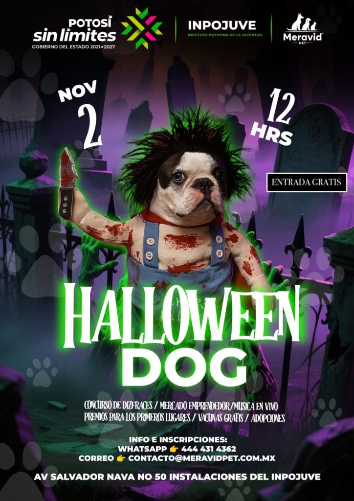 GOBIERNO ESTATAL ORGANIZA FIESTA DE DISFRACES CANINA EN EL INPOJUVE