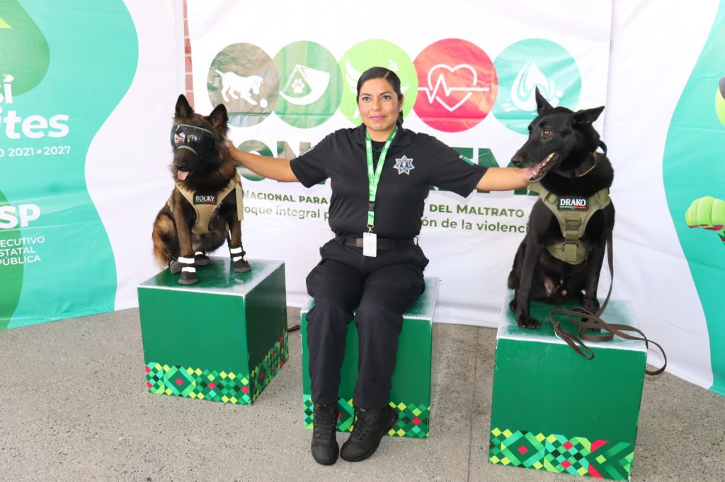 PRESENTAN CONCLUSIONES DE FORO DE PREVENCIÓN DE MALTRATO ANIMAL