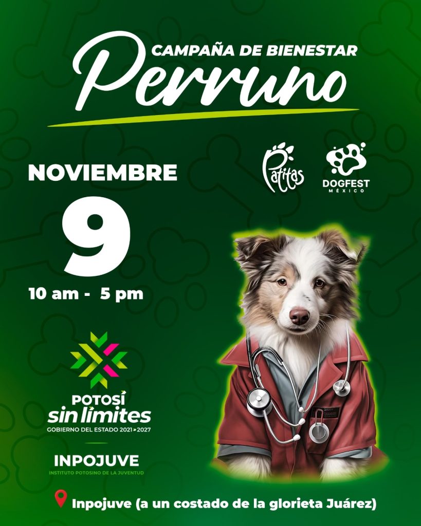 GOBIERNO IMPULSA EL CUIDADO Y ADOPCIÓN RESPONSABLE DE MASCOTAS