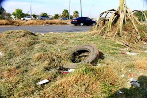 Villa de Pozos y SEDUVOP ponen en marcha operativo de limpieza integral en la Carretera 57