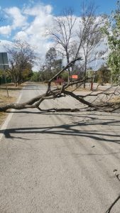 Por ráfagas de viento, cierran preventivamente los Parques Tangamanga I y II