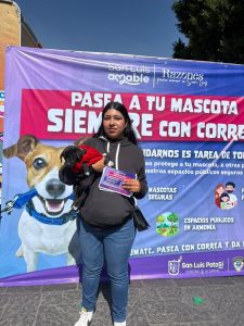 Gobierno de la Capital promueve paseo responsable de animales de compañía