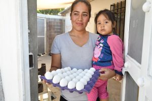 Apoyo Alimentario Casa por Casa EN SDGS